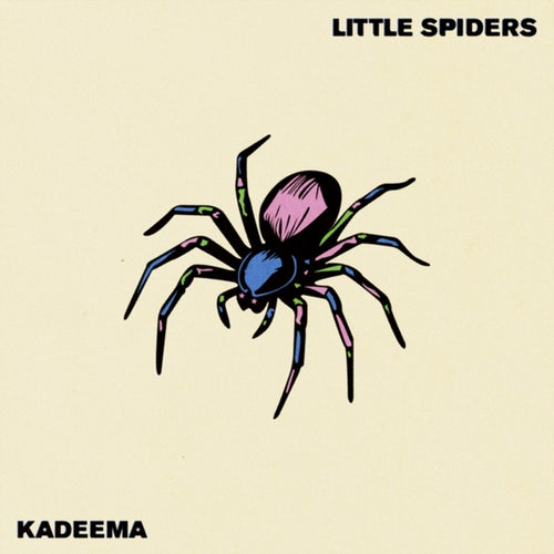 Little Spiders