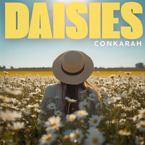 Daisies