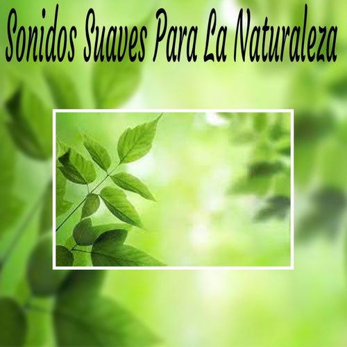Cantar