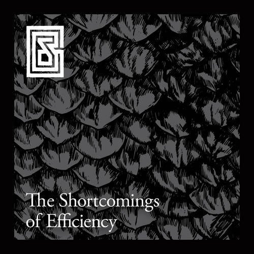 The Shortcomings of Efficiency