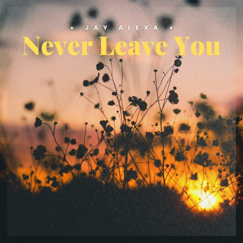 Never Leave You