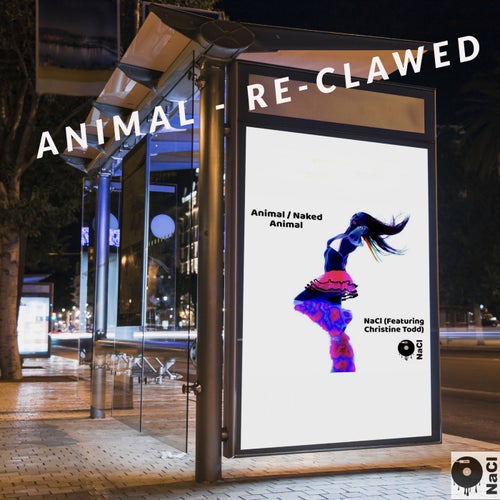 Release of the week