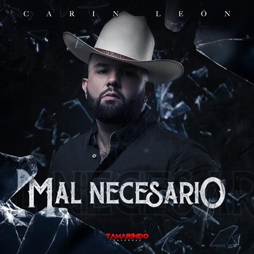 Mal Necesario