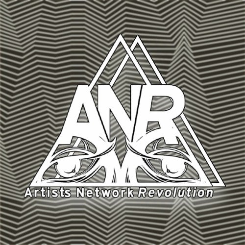 Artists Network Revolution Profile