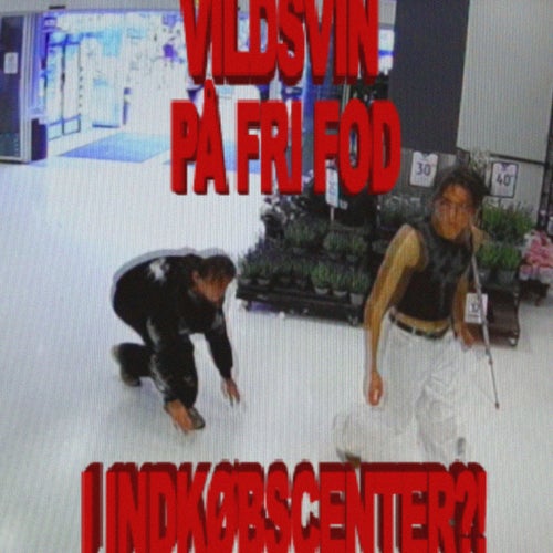 Release of the week