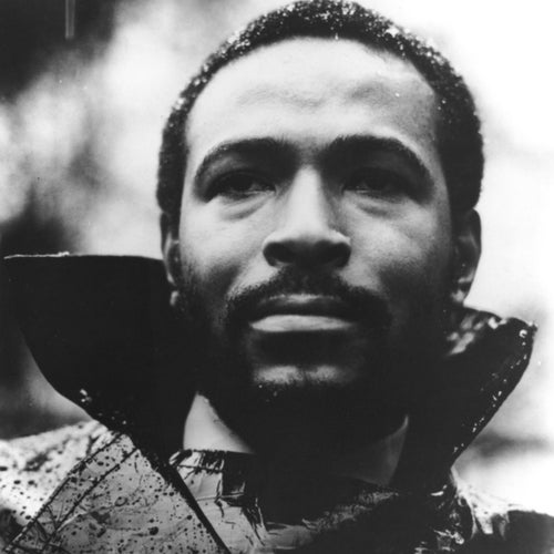 Marvin Gaye Profile