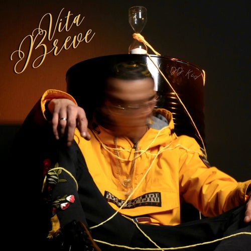 Vita breve