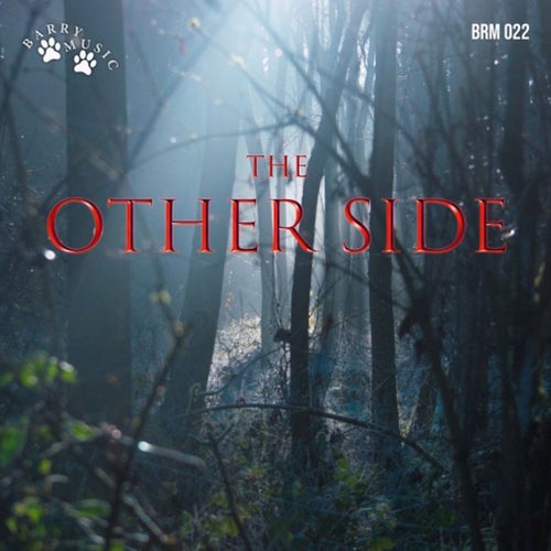 The Other Side