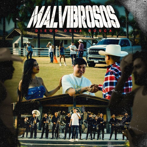 Malvibrosos