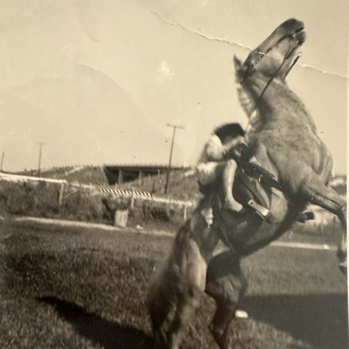 A Horse Named Proletariat