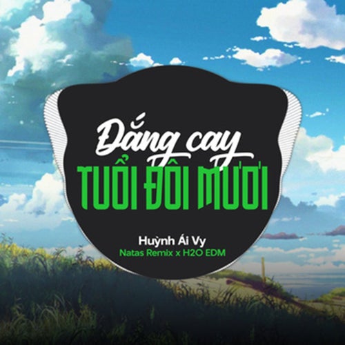Đắng Cay Tuổi Đôi Mươi (EDM)