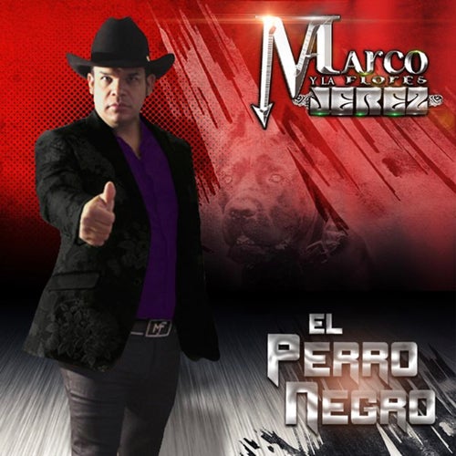 Zapateado Perron