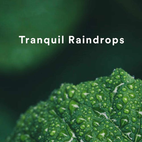 Tranquil Raindrops
