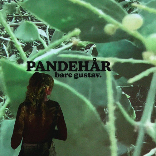 PANDEHÅR
