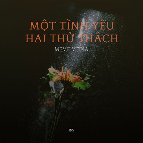 Một Tình Yêu Hai Thử Thách (Ins)
