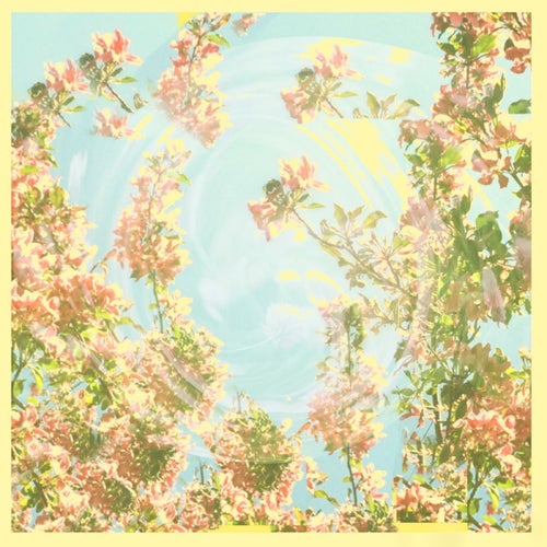 Yellowbee