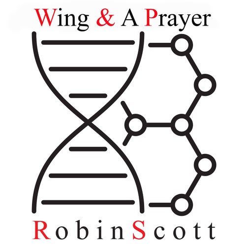 Wing & A Prayer