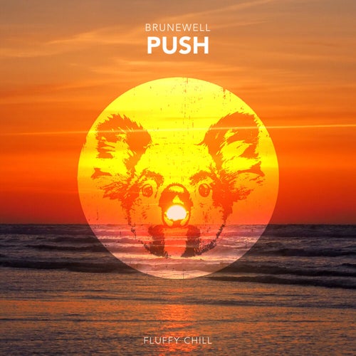 Push