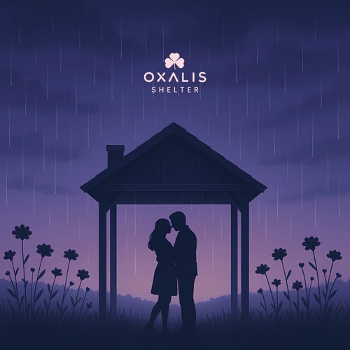 Shelter