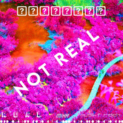 Not Real