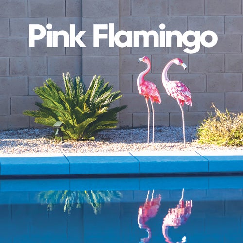 Pink Flamingo