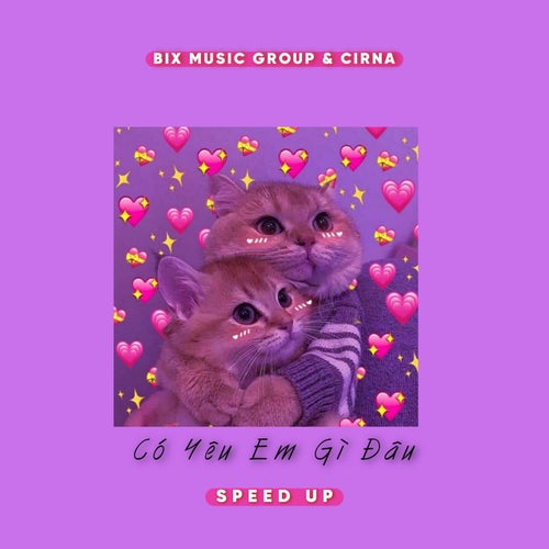 Có Yêu Em Gì Đâu (Cirna Remix) [Speed Up]