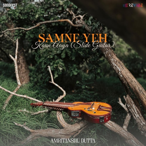 Samne Yeh Kaun Aaya (Slide Guitar)