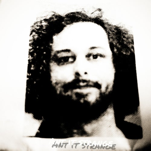 Ant It Strange