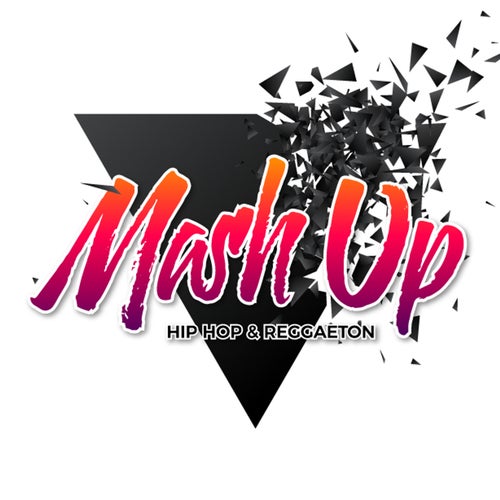 Mash-up Profile