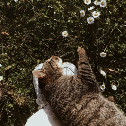 Calm Touch (Chillout)