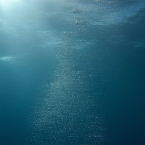Pure Shores