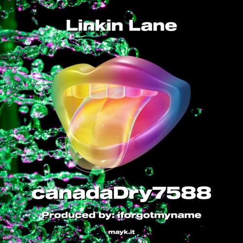 Linkin Lane