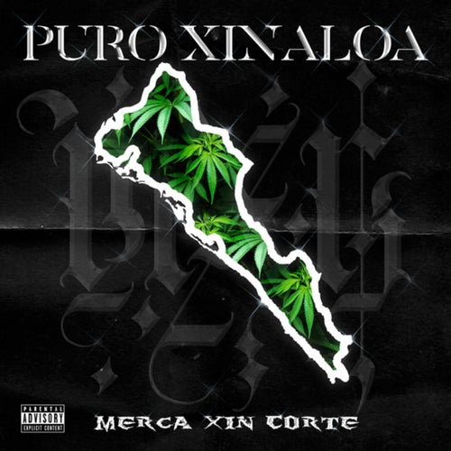 PURO XINALOA