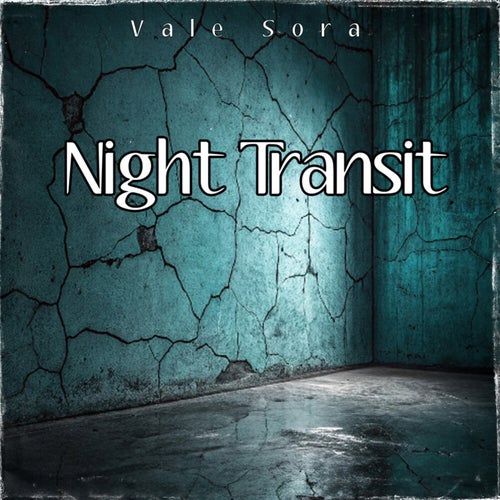 Night Transit