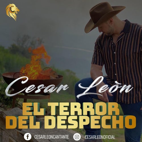 El Terror del Despecho
