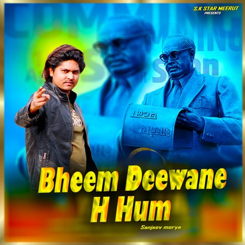 Bheem Deewane H Hum