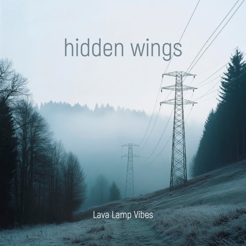 hidden wings