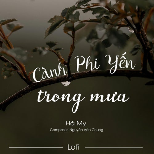 Cành Phi Yến Trong Mưa (Lofi)