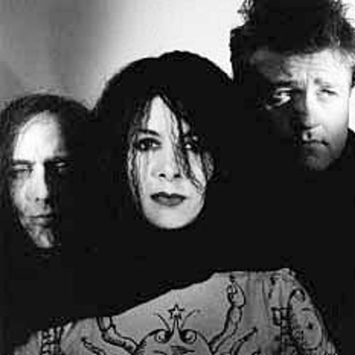 Concrete Blonde Profile