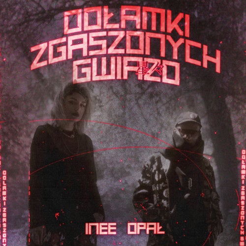 Odłamki zgaszonych gwiazd