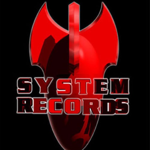 System-Records Profile