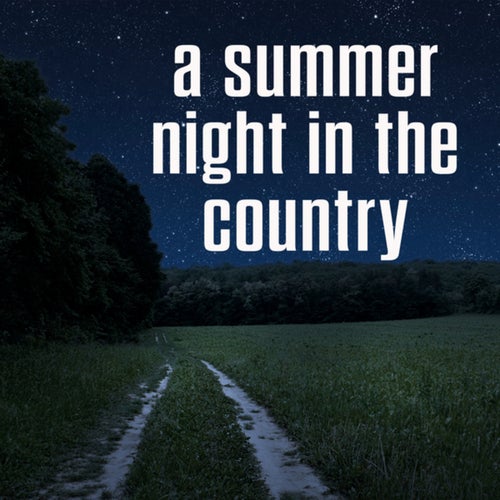 a summer night in the country