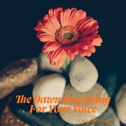 The Dawn Searching For Your Voice