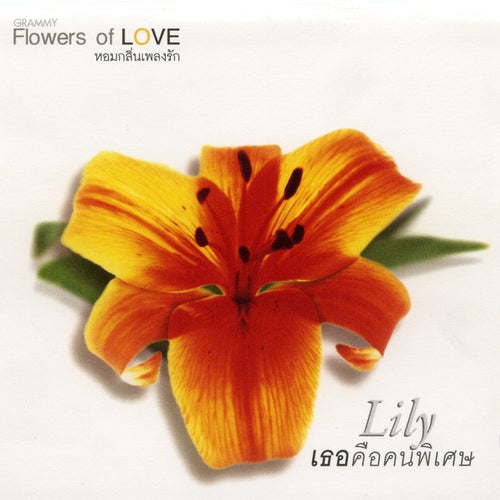 FLOWERS 2 Lily เธอคือคนพิเศษ
