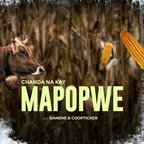 Mapopwe