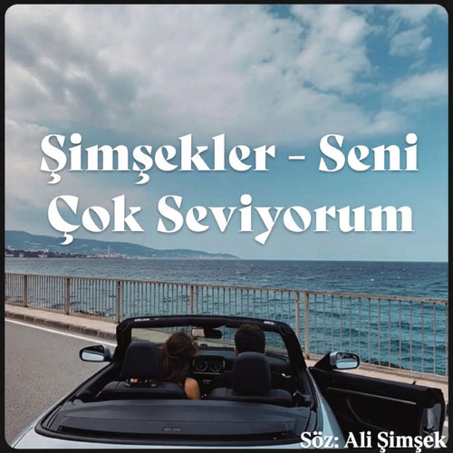 Seni Çok Seviyorum