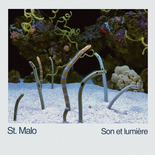 Son Et Lumière