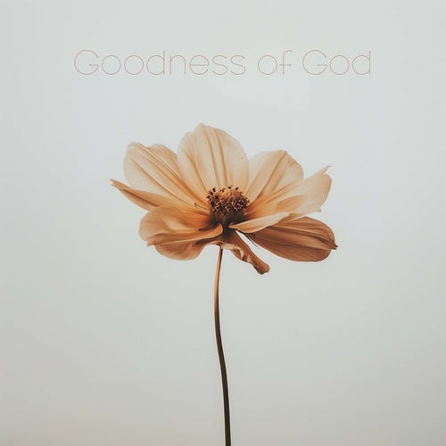 Goodness of God