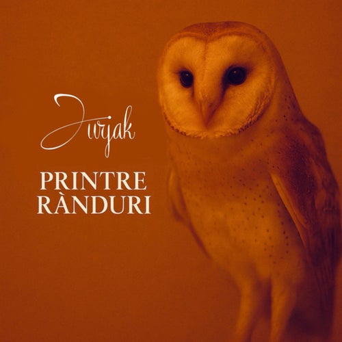Printre rânduri