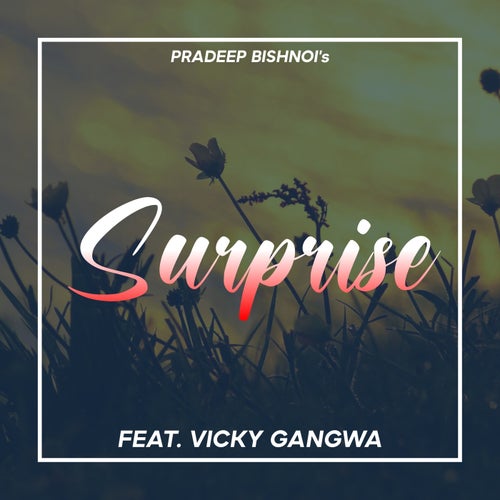 Surprise (Birthday Wali Party)